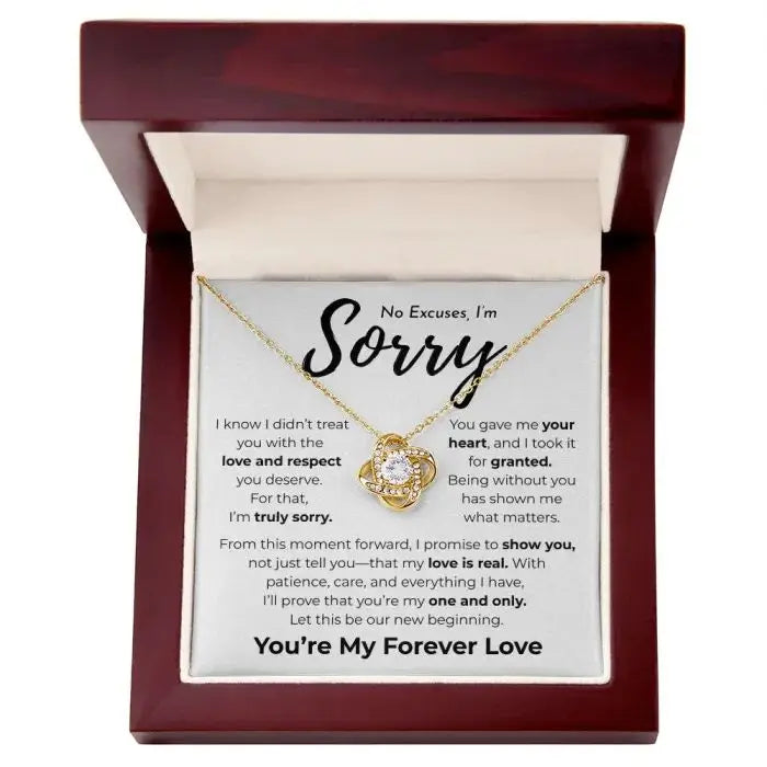 No Excuses I'm Sorry