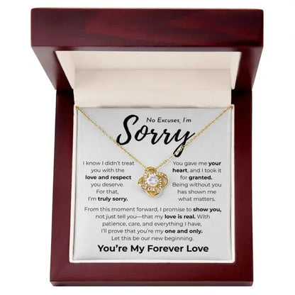 No Excuses I'm Sorry