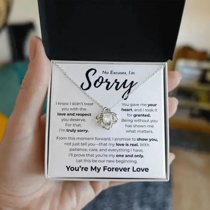 No Excuses I'm Sorry