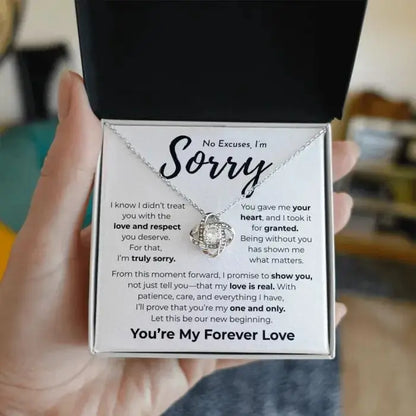 No Excuses I'm Sorry
