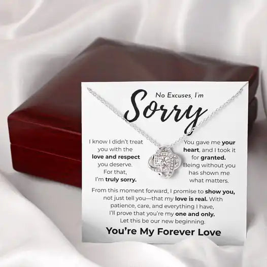 No Excuses I'm Sorry