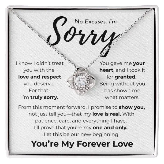No Excuses I'm Sorry