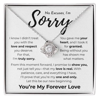 No Excuses I'm Sorry