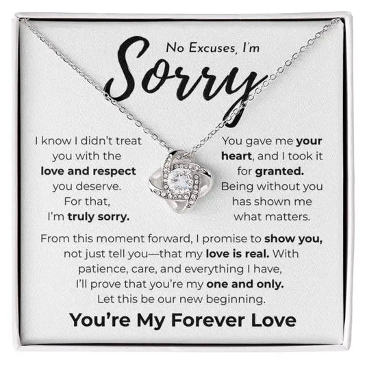 No Excuses I'm Sorry