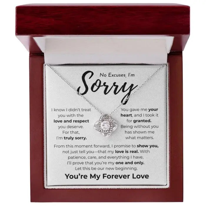 No Excuses I'm Sorry