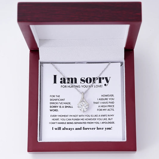 I Am Sorry